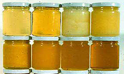 1200 تن عسل در چهارمحال و بختیاری تولید می‎شود